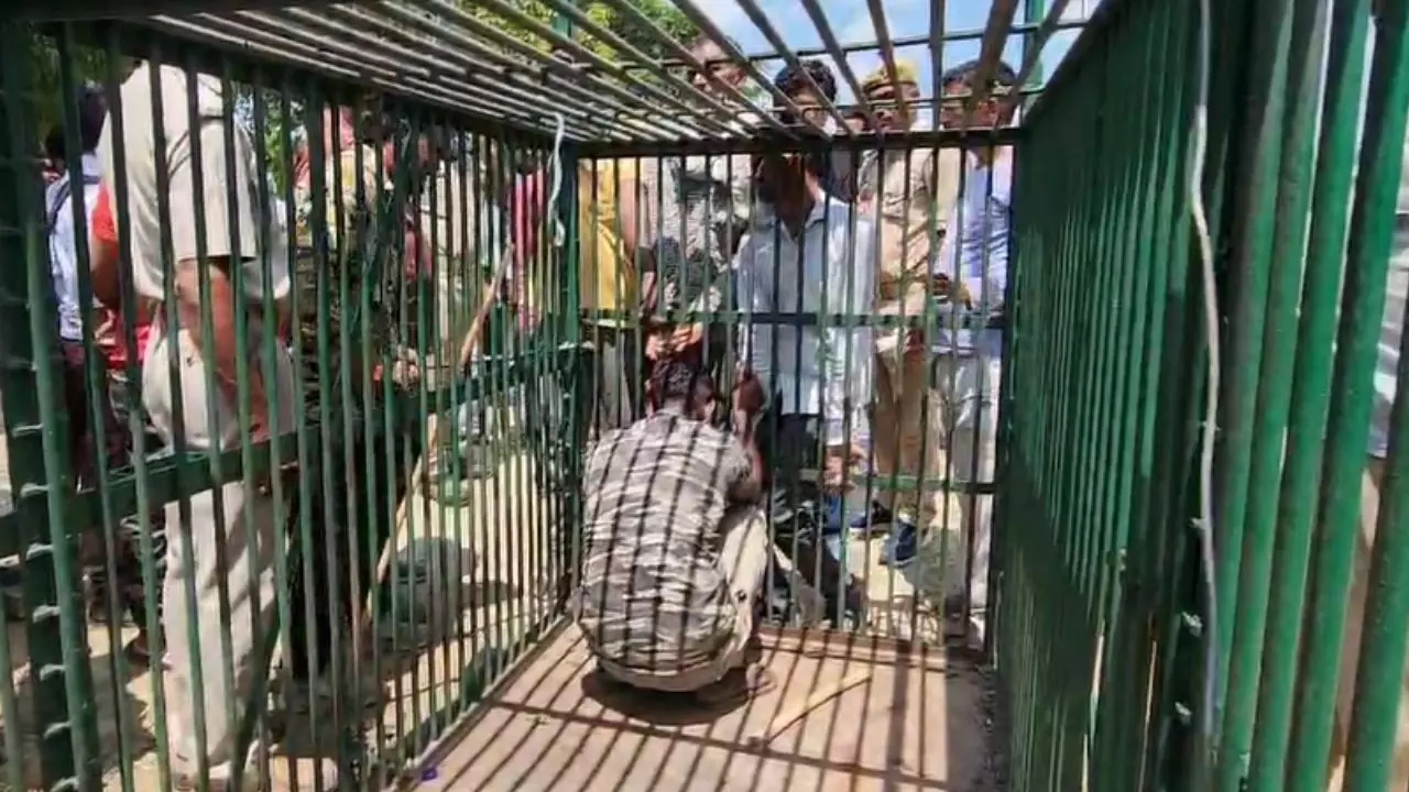 बाघ पकड़ने के लिए लगा था पिंजड़ा, कैद हो गया वनकर्मी, फिर....