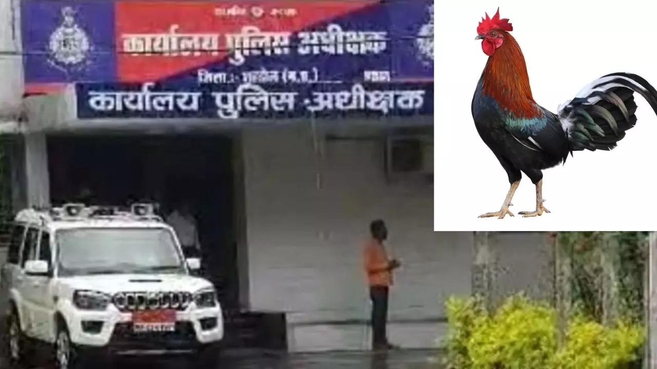 मुर्गे की तरह नहीं बोला कुकड़ू कू… दबंगों ने लड़के को दी ‘खौफनाक सजा’