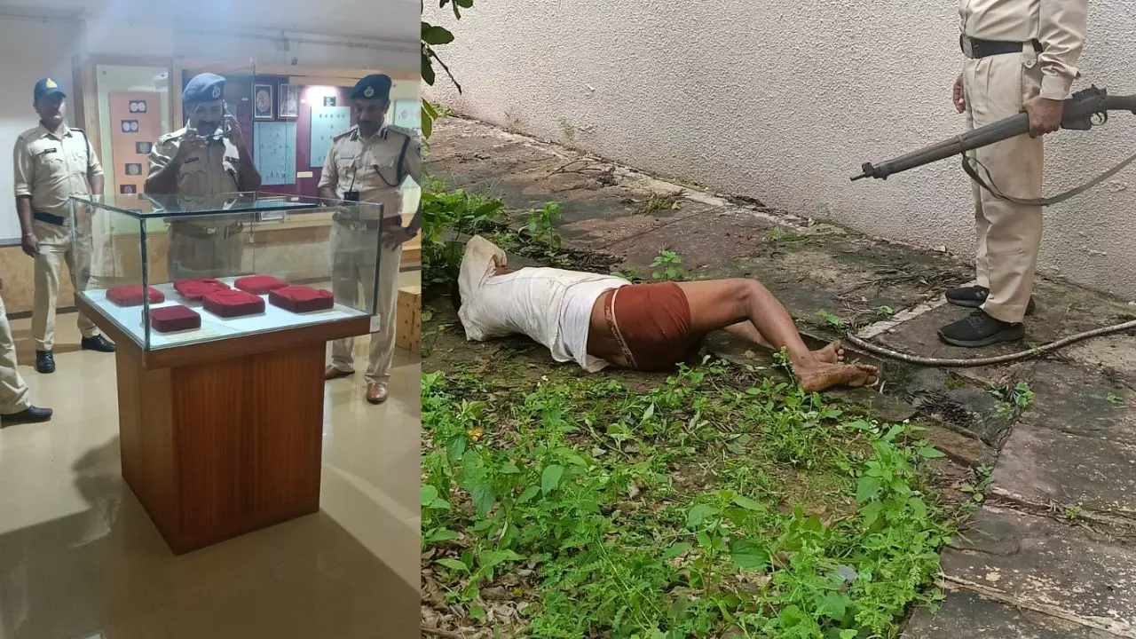 टिकट लिया, 15 करोड़ का माल समेटा...म्यूजियम में फिल्मी स्टाइल में चोरी टिकट लिया, 15 करोड़ का माल समेटा...म्यूजियम में फिल्मी स्टाइल में चोरी