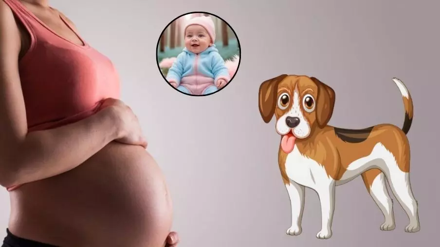 बच्चे चाहिए सुंदर तो खाना होगा कुत्ते का..., गर्भवर्ती महिलाओं के लिए जानें क्या कहती है ये रिपोर्ट