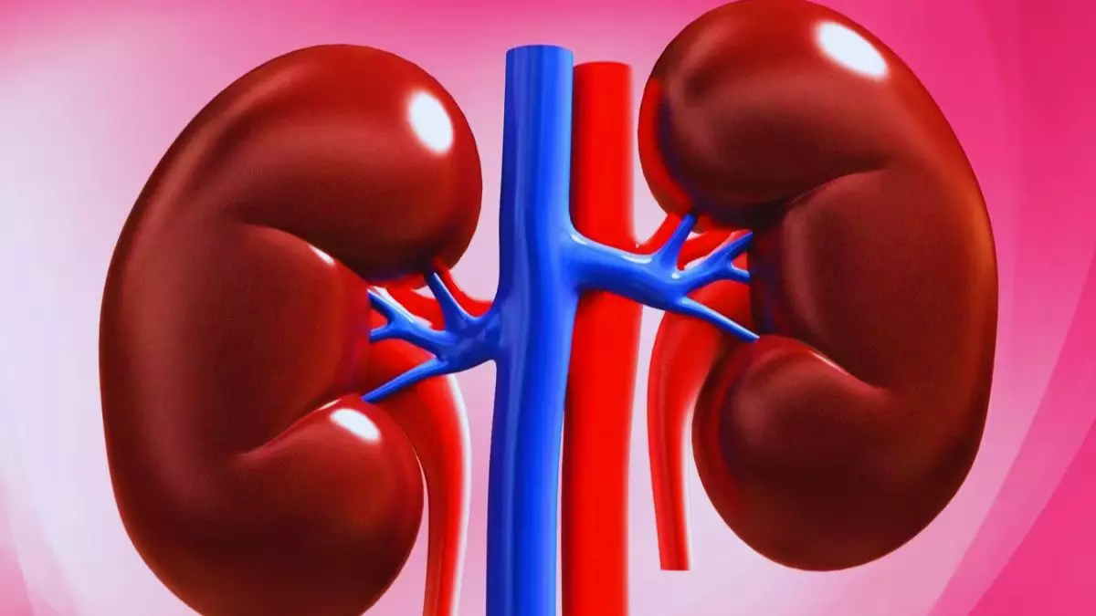 Health Tips : शरीर में दिख रहे ऐसे लक्षण, तो हो जाए सावधान, हो सकती है किडनी खराब