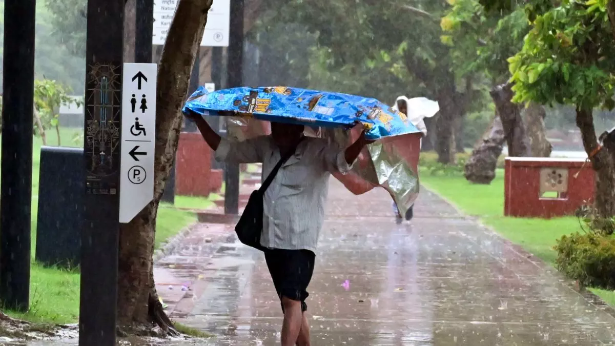 Weather Update Today : मौसम विभाग ने दिल्ली-एनसीआर और उत्तर प्रदेश के लिए येलो और ऑरेंज अलर्ट जारी किया