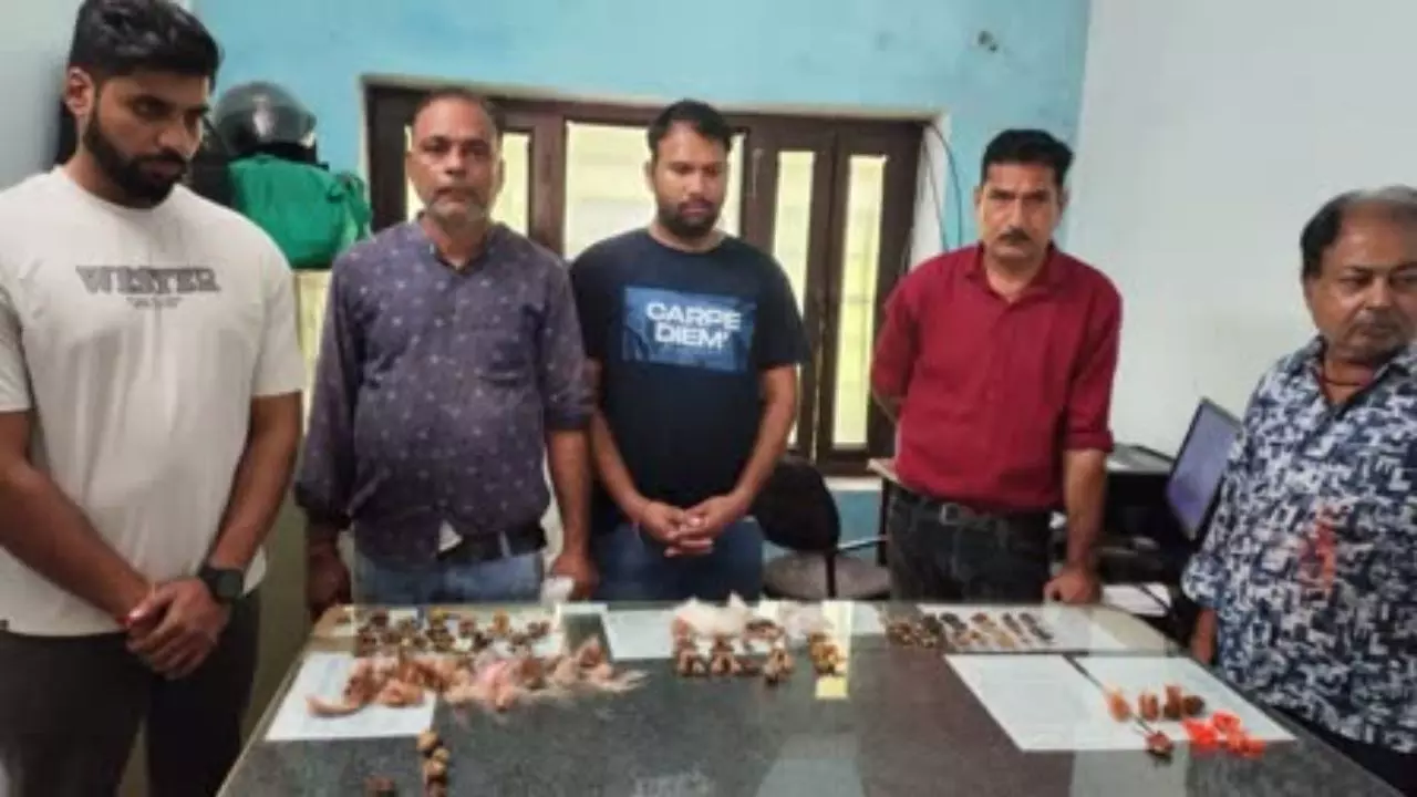 जानवरों के प्राइवेट पार्ट से आती है बरकत! तस्करों ने किया खुलासा, हैरान रह गई टीम