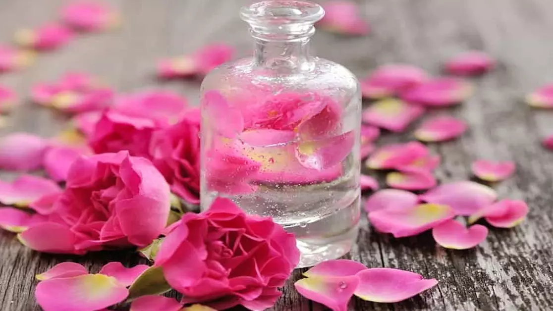 गुलाब जल और खूबसूरती का है पुराना रिश्ता, जानें कैसे करें इस्तेमाल