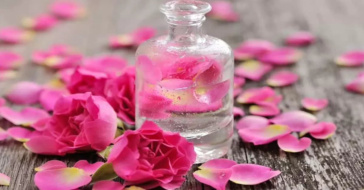 गुलाब जल और खूबसूरती का है पुराना रिश्ता, जानें कैसे करें इस्तेमाल