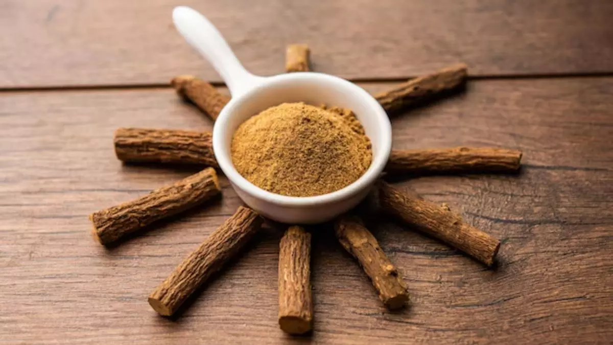 Health Benefits : मुलेठी के शानदार गुणों का उठाए लुफ्त, सर्दी-खांसी जैसे कई रोग होंगे दूर