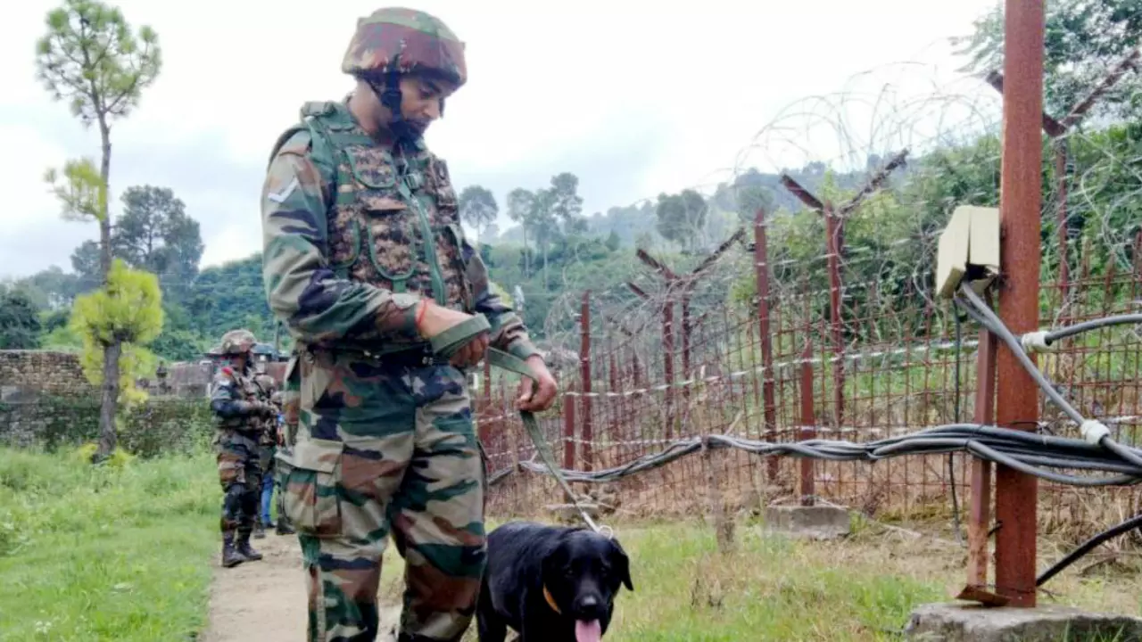 भारत में बड़े हमले की तैयारी! मनी लॉन्ड्रिंग से आतंकवाद को फंडिंग,  ISIS और अलकायदा को लेकर FATF की चेतावनी