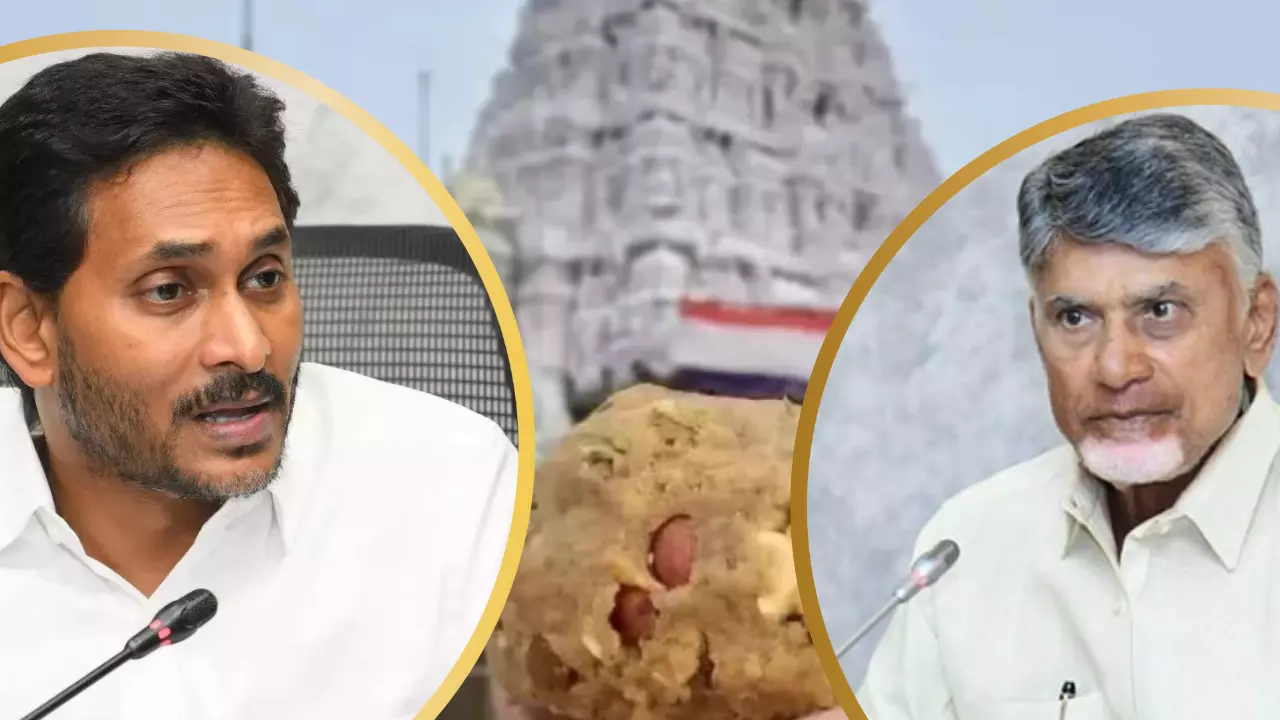 Tirupati laddus row: CM नायडू के आरोप पर जगन पहुंचे हाईकोर्ट, लड्डू में जानवरों के चर्बी पर बवाल, जानिए किसने-क्या कहा?
