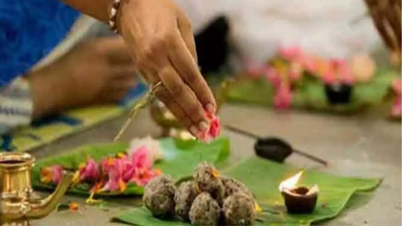 बेटा अक्सर पड़ता है बीमार? पितृदोष का हो सकता है असर