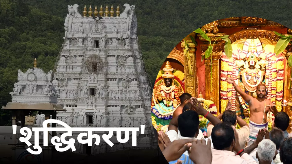 ॐ अपवित्रः पवित्रो वा..., तिरुपति मंदिर का हुआ शुद्धिकरण, चार घंटे तक चला अनुष्ठान