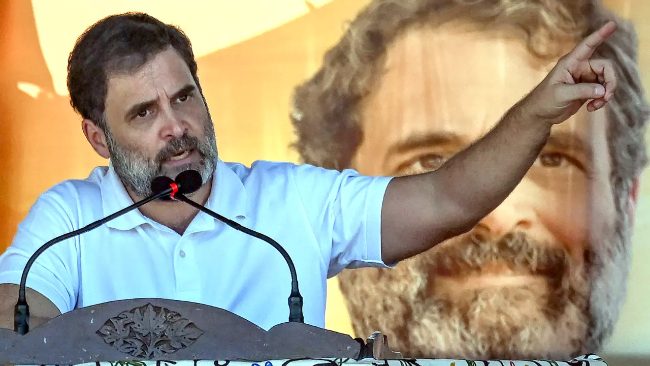 हरियाणा में चुनाव प्रचार करेंगे राहुल गांधी, इस नेता के लिए करेंगे रैली, जानिए कांग्रेस की क्या है रणनीति?