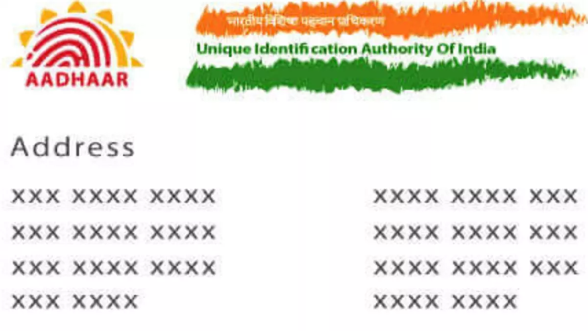 पकड़ी गई चोरी, आधार और पैन कार्ड का डेटा कर रही थी लीक ये कंपनियां, सरकार ने लिया एक्शन