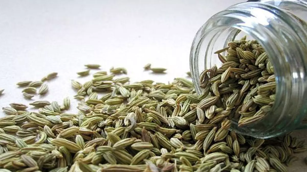 सिर्फ माउथ फ्रेशनर ही नहीं, इन चीजों के लिए भी बेहद फायदेमंद है सौंफ