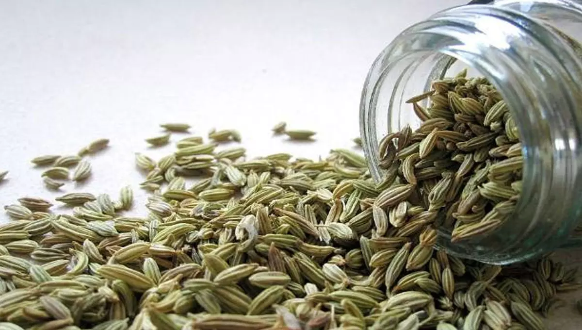 सिर्फ माउथ फ्रेशनर ही नहीं, इन चीजों के लिए भी बेहद फायदेमंद है सौंफ