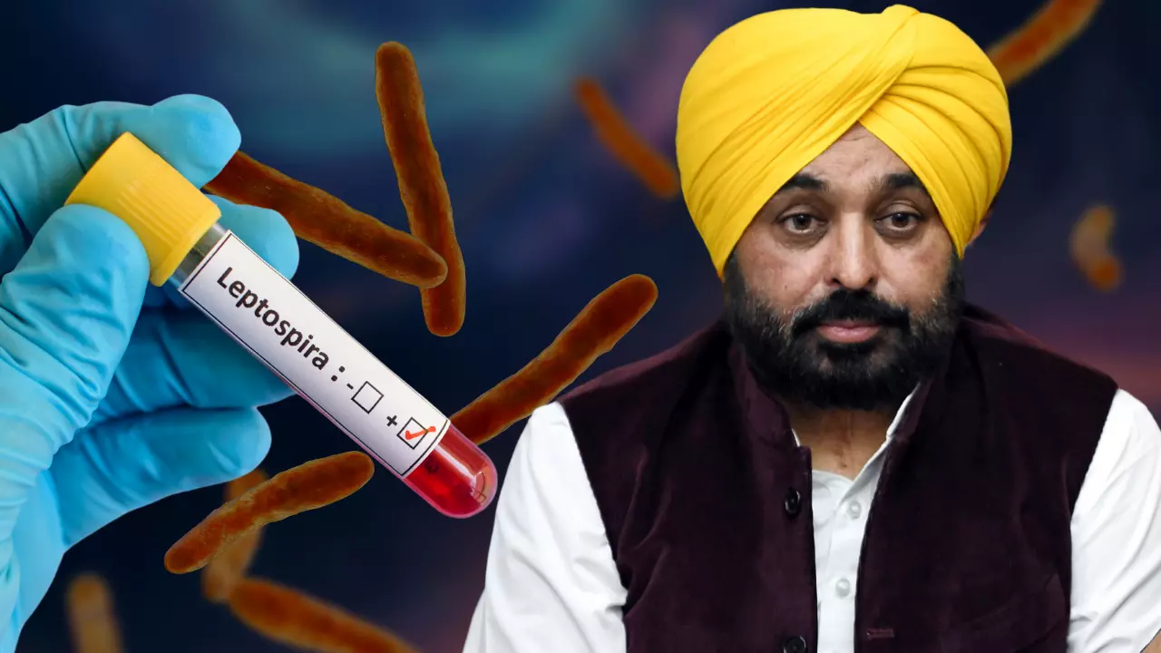 बेहद खतरनाक है Leptospirosis बीमारी! पंजाब CM भगवंत मान हुए इसके शिकार