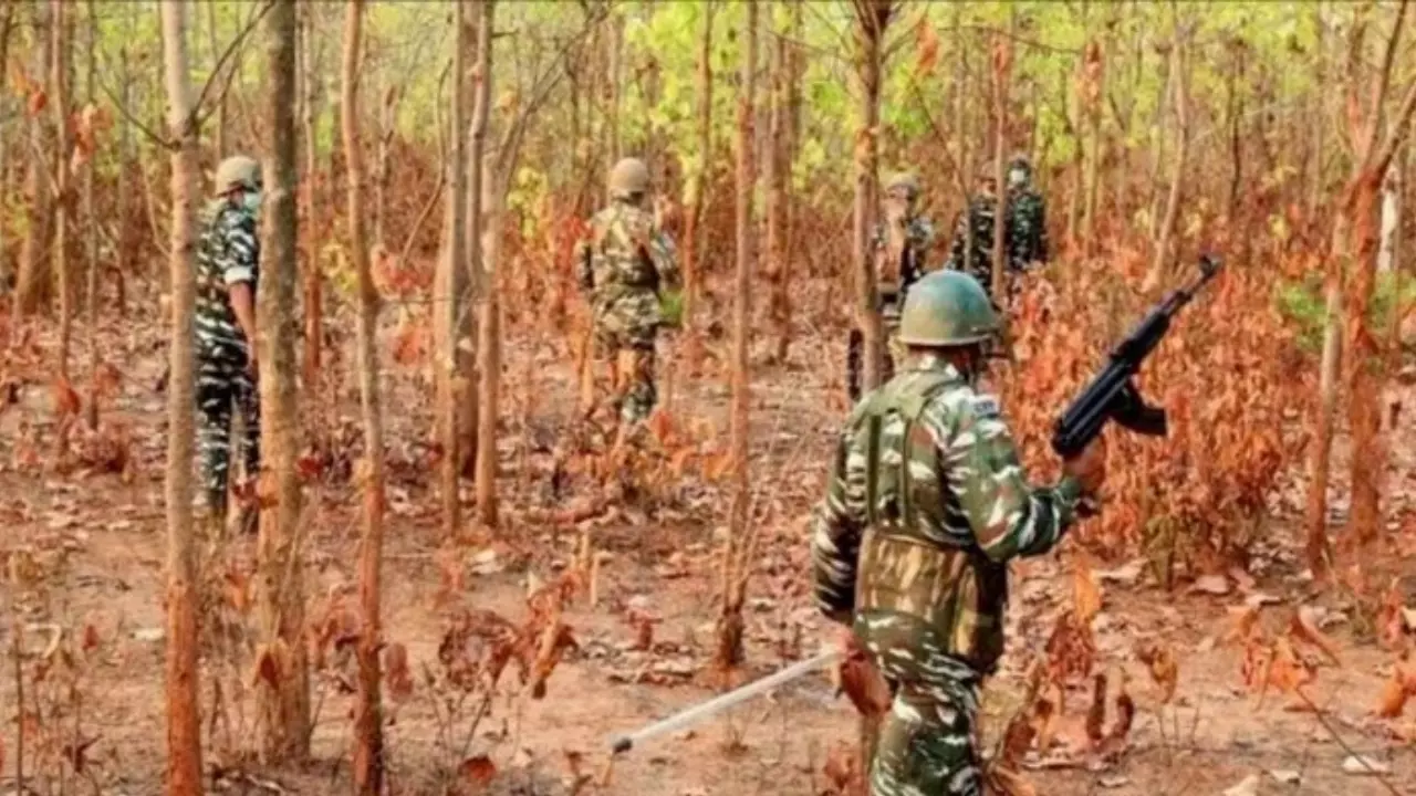 छत्तीसगढ़ से 3 IED बरामद, जमीन के नीचे रखे थे बम, नक्सलियों ने की थी हमले की साजिश