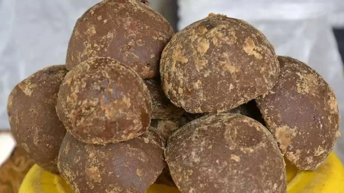 रोज खाएंगे गुड़ और आजवाइन, तो कोसों दूर रहेंगी ये बीमारियां