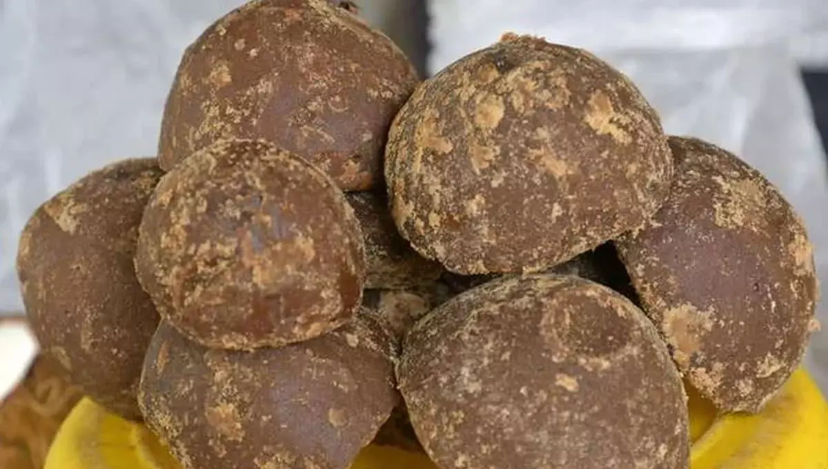 रोज खाएंगे गुड़ और आजवाइन, तो कोसों दूर रहेंगी ये बीमारियां