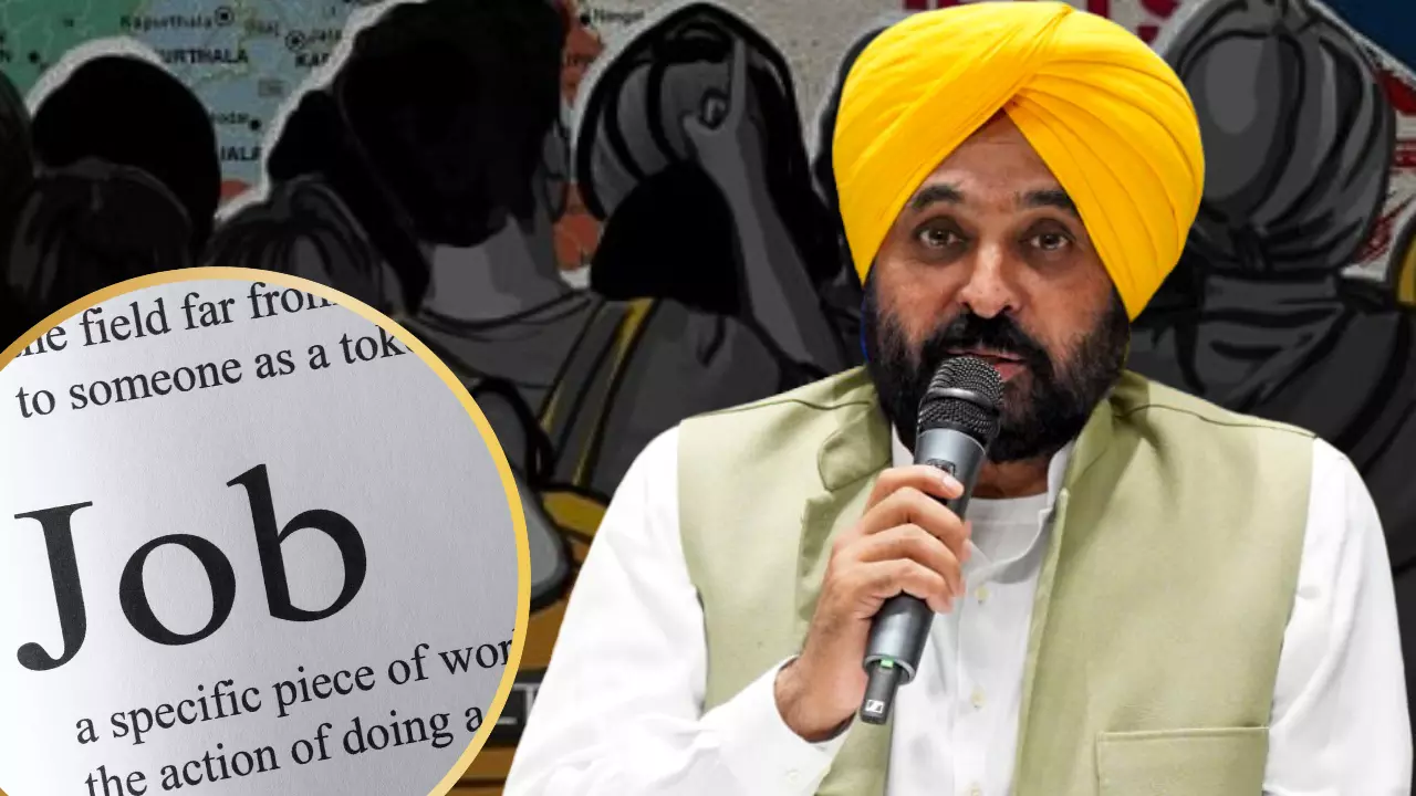 महिलाओं के लिए रोजगार के अवसर, पंजाब में रोजगार कैंपेन, जानिए क्या है सीएम मान का प्लान