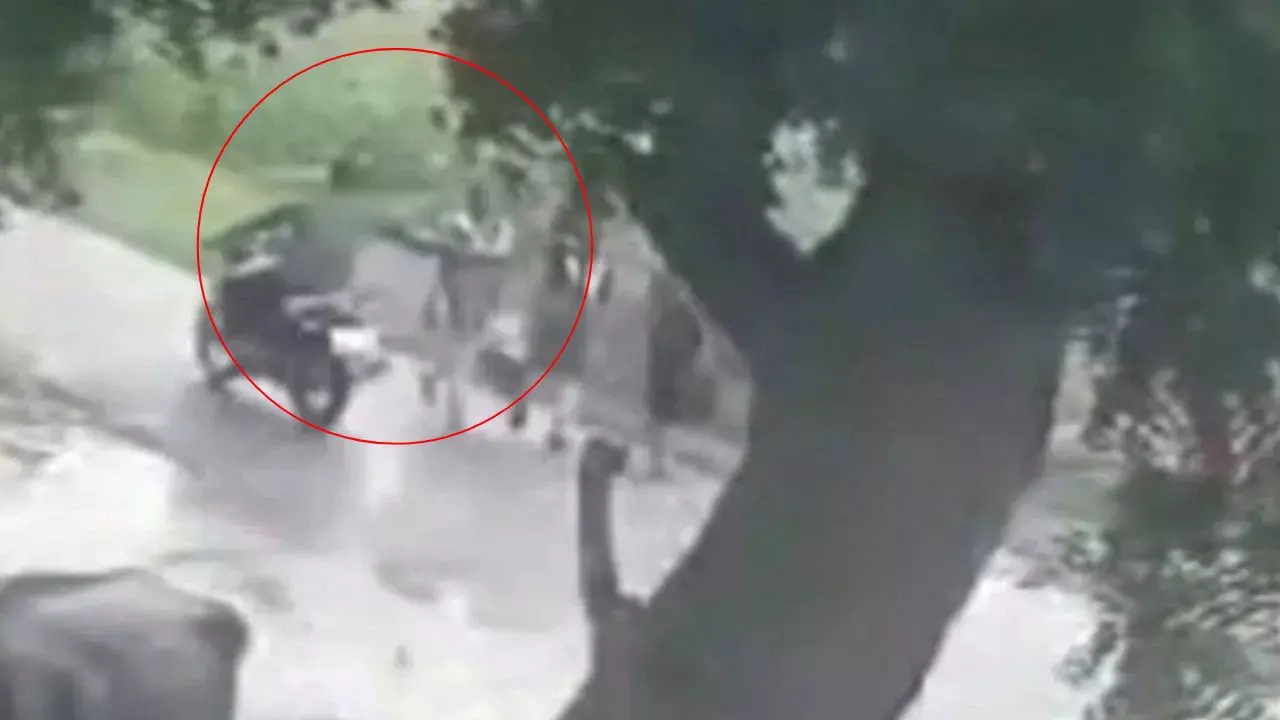 दहशत में यूपी की बेटियां: हरदोई में मनचलों ने स्कूल जा रही छात्रा का खींचा दुपट्टा, CCTV में कैद हुई वारदात