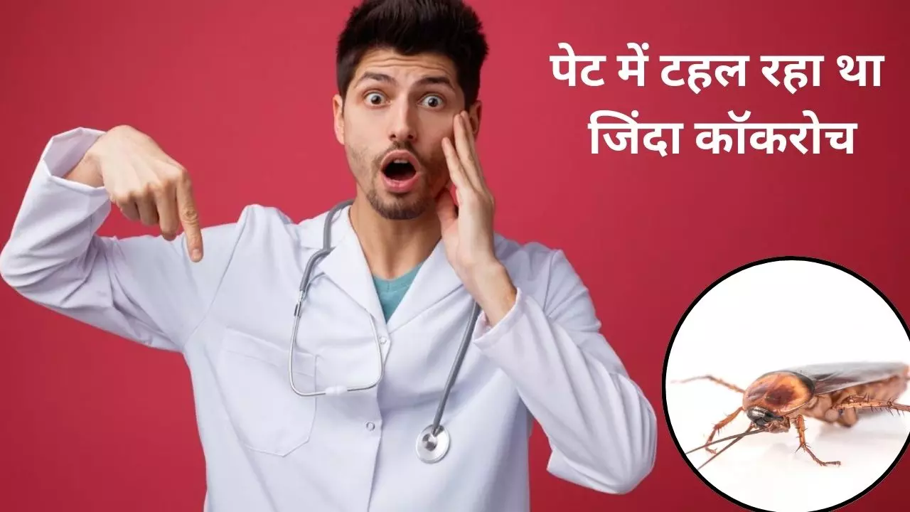 Delhi: इलाज के दौरान मरीज के पेट से निकला जिंदा कॉकरोच, डॉक्टर के उड़े होश