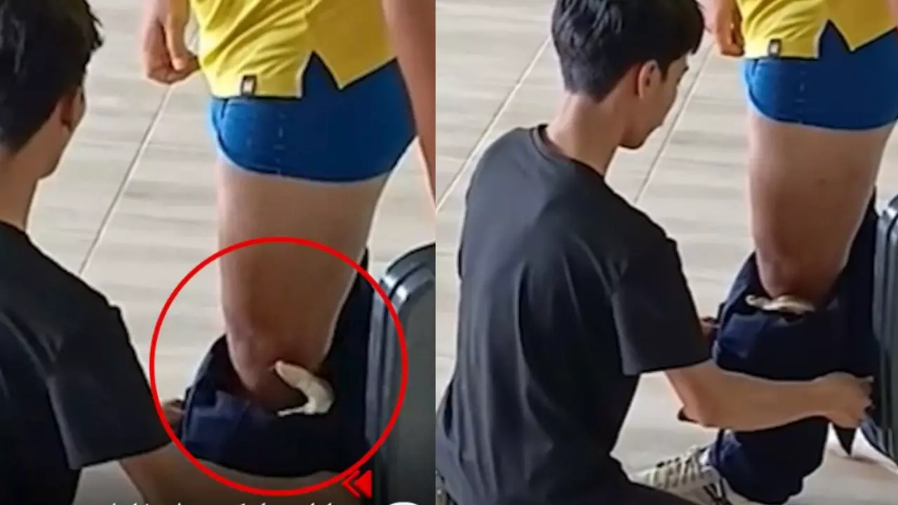 Viral Video: युवक के पैंट से निकला कोबरा, वीडियो देख लोगों के उड़े होश, यूजर्स बोले- कैसे पहुंचा अंदर