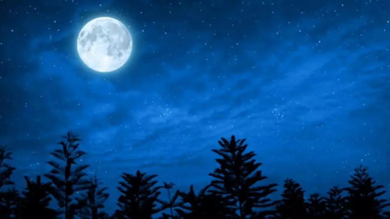 Sharad Purnima 2024:  मां लक्ष्मी की कृपा पाने के लिए आजमाएं ये खास उपाय, पैसों की होगी बारिश!