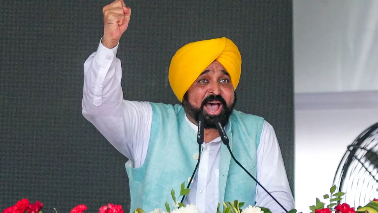 पंजाब में ग्रीन स्टांप पेपर से हो रहा विकास, कारोबारियों को मिल रहा लाभ