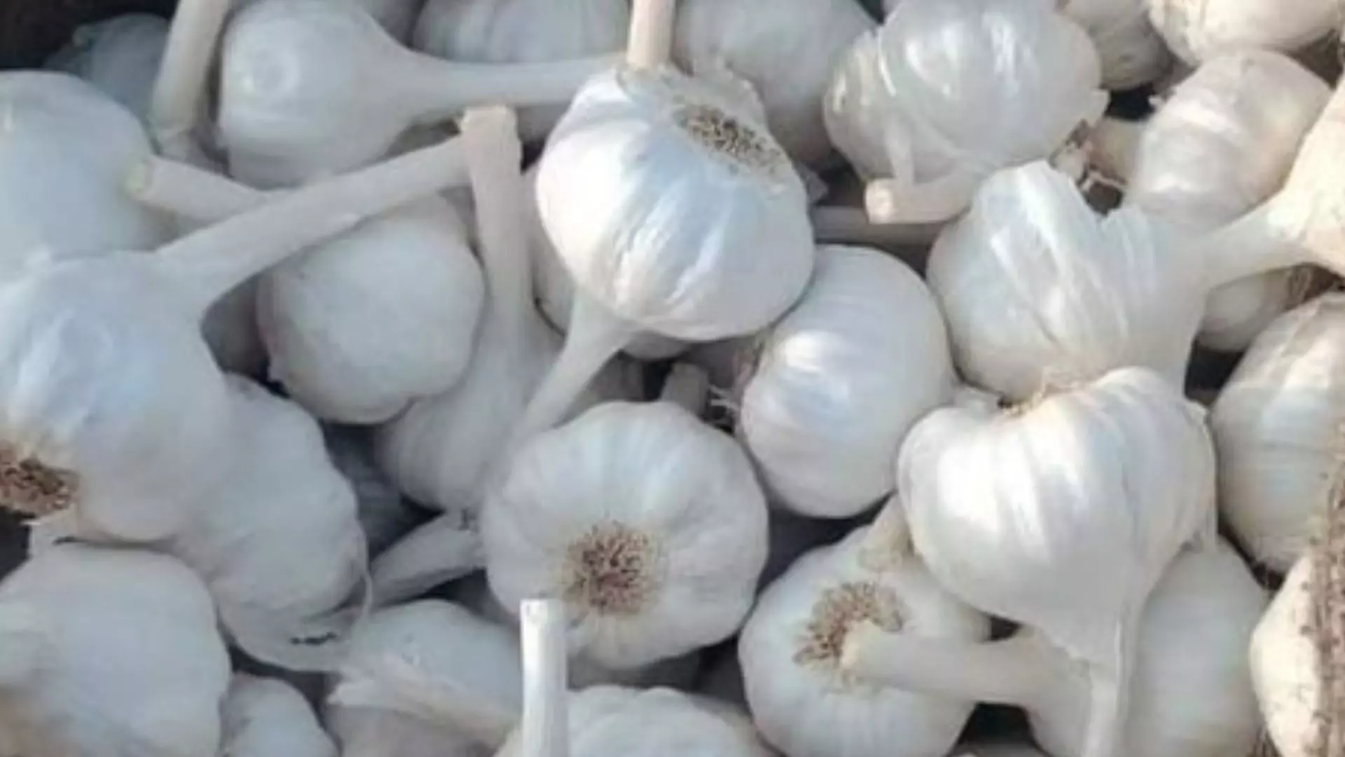 वैम्पायर रोग में लहसुन खाना हो सकता है जानलेवा, पीड़ित महिला ने बताई पूरी सच्चाई