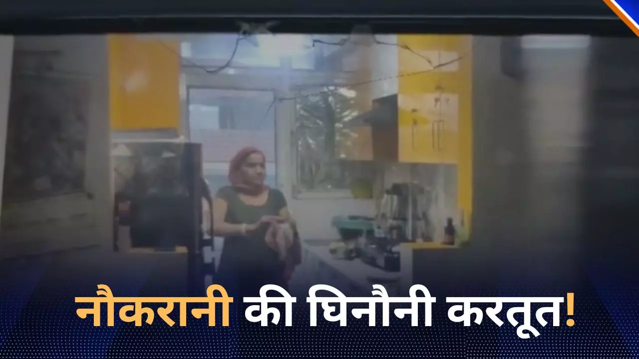 ऐसी नौकरानी किसी को ना मिले! पेशाब से गूंथती थी आटा, परिवार वालों को लगा झटका
