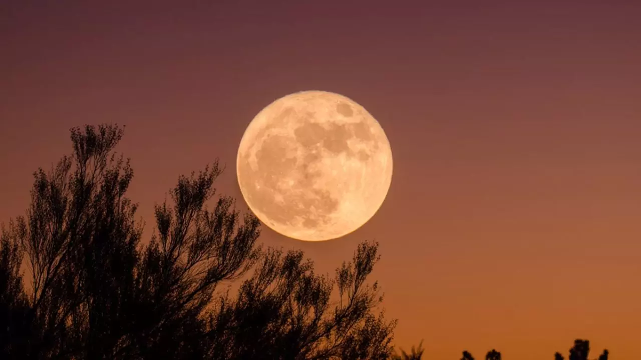 Sharad Purnima 2024: आज की रात जरूर आजमाएं ये 5 टोटके, घर में धन-संपत्ति और समृद्धि का होगा वास!