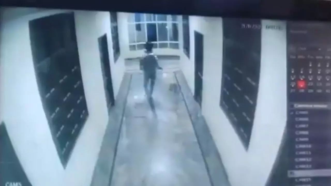 कुत्ते के डर से तीसरी मंजिल से गिरा युवक, हुई मौत, वीडियो वायरल