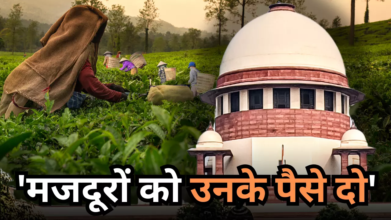 सुप्रीम कोर्ट ने केंद्र को भेजा नोटिस, असम के चाय श्रमिकों को नहीं मिला बकाया