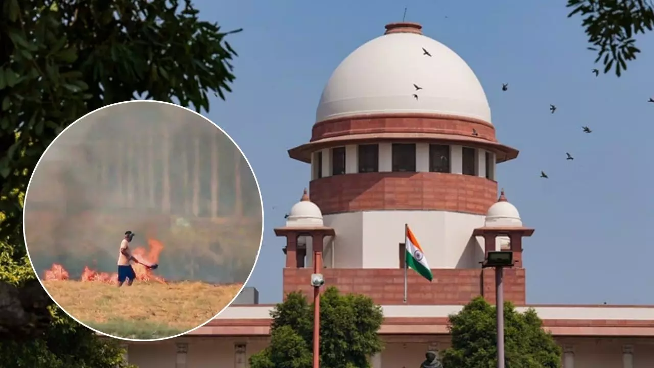 पराली जलाने को लेकर SC ने केंद्र को लगाई फटकार, कहा- पर्यावरण संरक्षण अधिनियम ‘शक्तिहीन’ हो गया