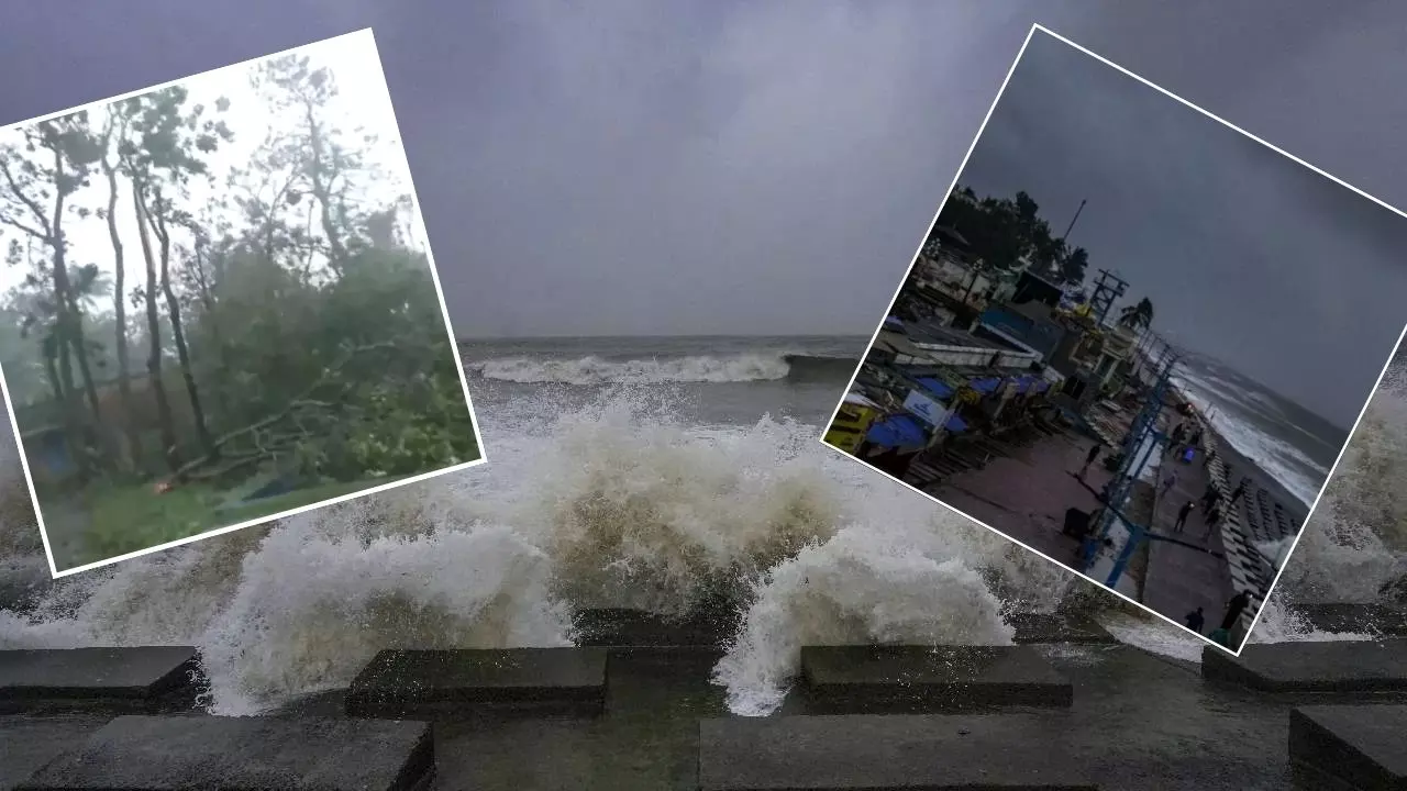 Cyclone Dana: दाना आया तबाही लाया! उखड़ी सड़कें और पेड़, तस्वीरों में देखिए तबाही का मंजर