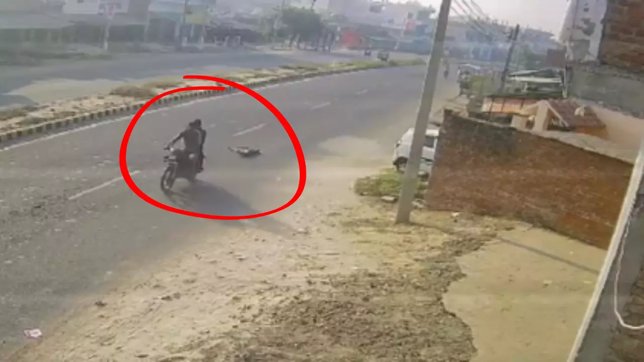 पैर में रस्सी बांध कुत्ते को कई किमी तक घसीटा, तड़प-तड़प कर निकली जान, देखें VIDEO