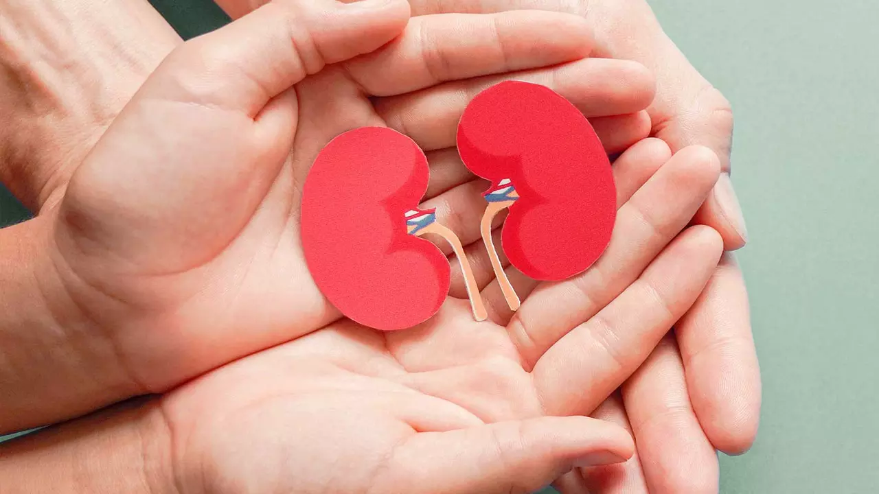 सुबह-सुबह शरीर देता है किडनी की समस्या के ये संकेत, न करें इग्नोर