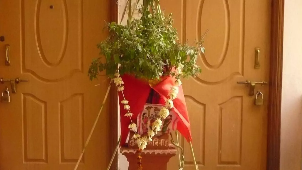 Tulsi Vivah 2024: कब है तुलसी विवाह, जानें सही पूजा विधि और खास उपाय