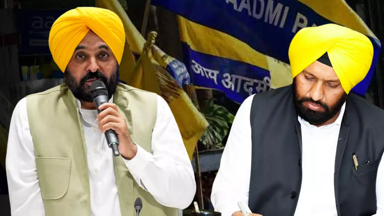 पंजाब में 48 फर्मों के लाइसेंस कैंसिल, खाद की कालाबाजारी करने पर मान सरकार का एक्शन