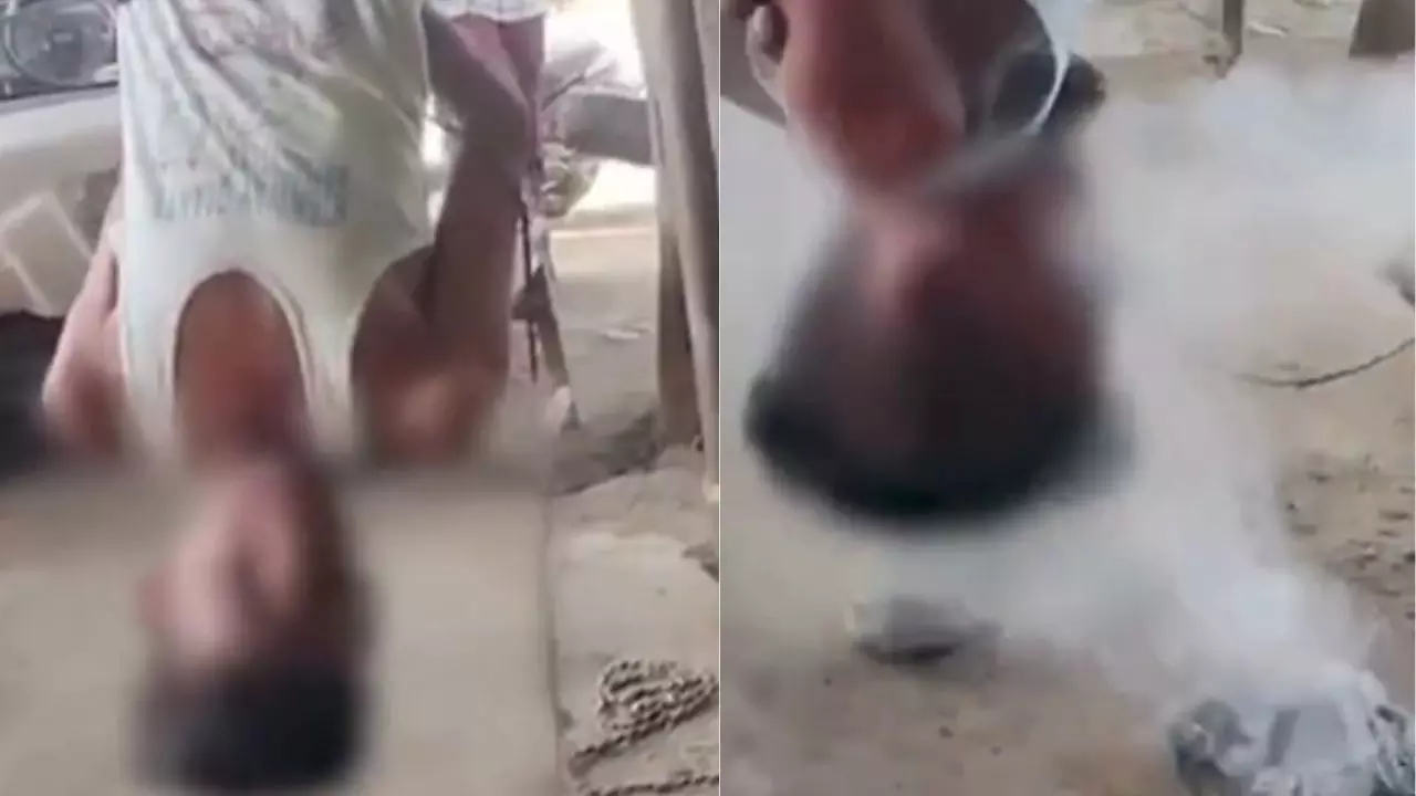 VIDEO: उल्टा लटकाकर सुंघाया मिर्च का धुआं, दर्द से चीखता रहा बच्चा लेकिन नहीं पसीजा आरोपियों का दिल
