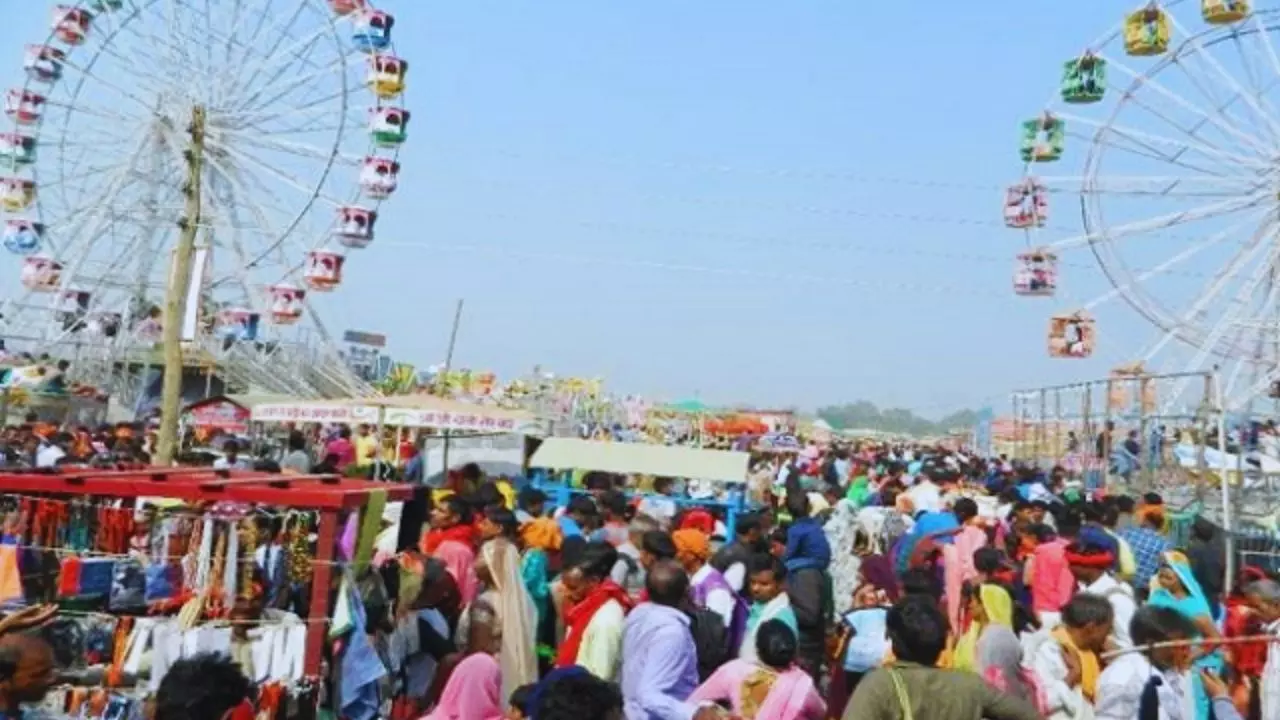 खरीदने आते हैं मेले में खच्चर और 120 सेकंड में बन जाती है जोड़ियां- कहानी 100 साल पुरानी परंपरा वाली