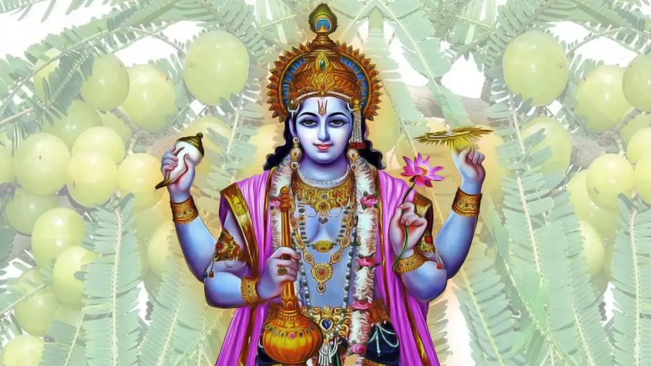 Akshaya Navami 2024: अक्षय नवमी पर ये तेल का दीया जलाएं, पा सकते हैं भगवान विष्णु की असीम कृपा!