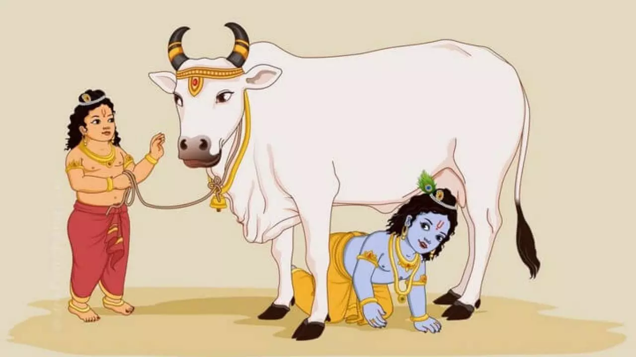 Gopashtami 2024: गौ माता की पूजा से घर में आ सकती है सुख-समृद्धि, जानें तारीख और शुभ मुहूर्त
