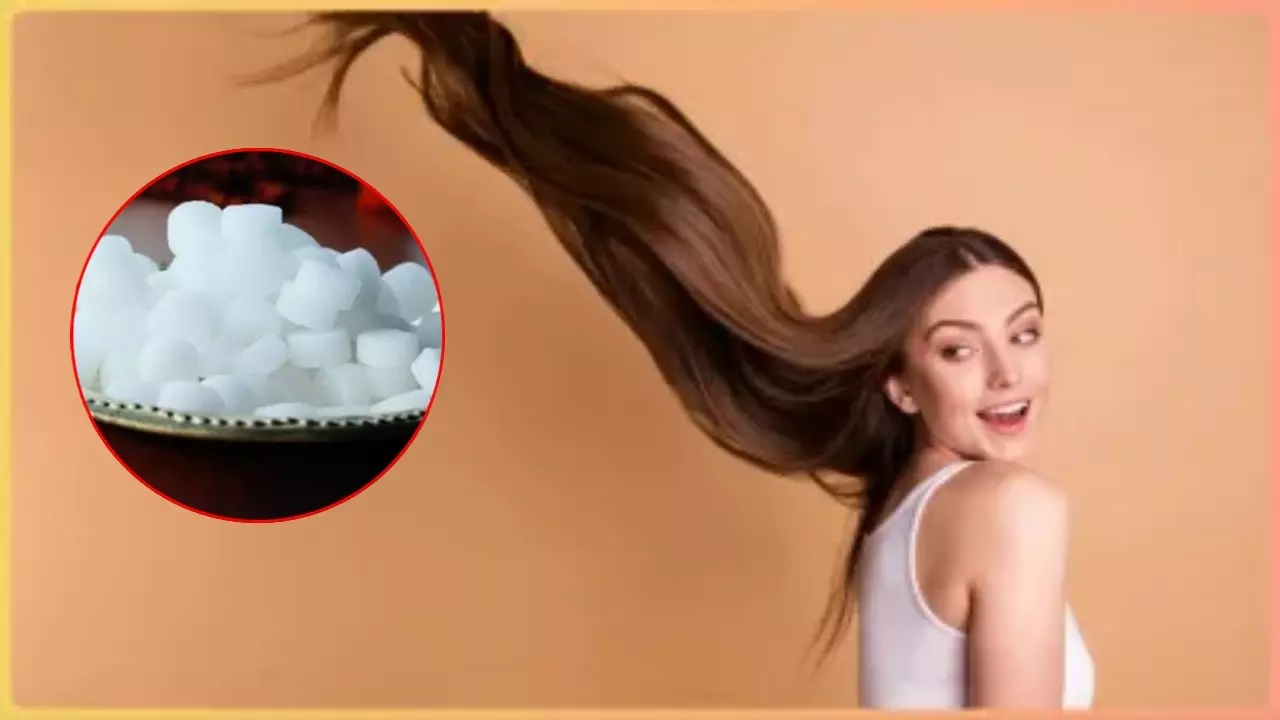 बालों के लिए जान डाल देता है कपूर, बस ऐसे करें इस्तेमाल; मिलेंगे जबरदस्त फायदे
