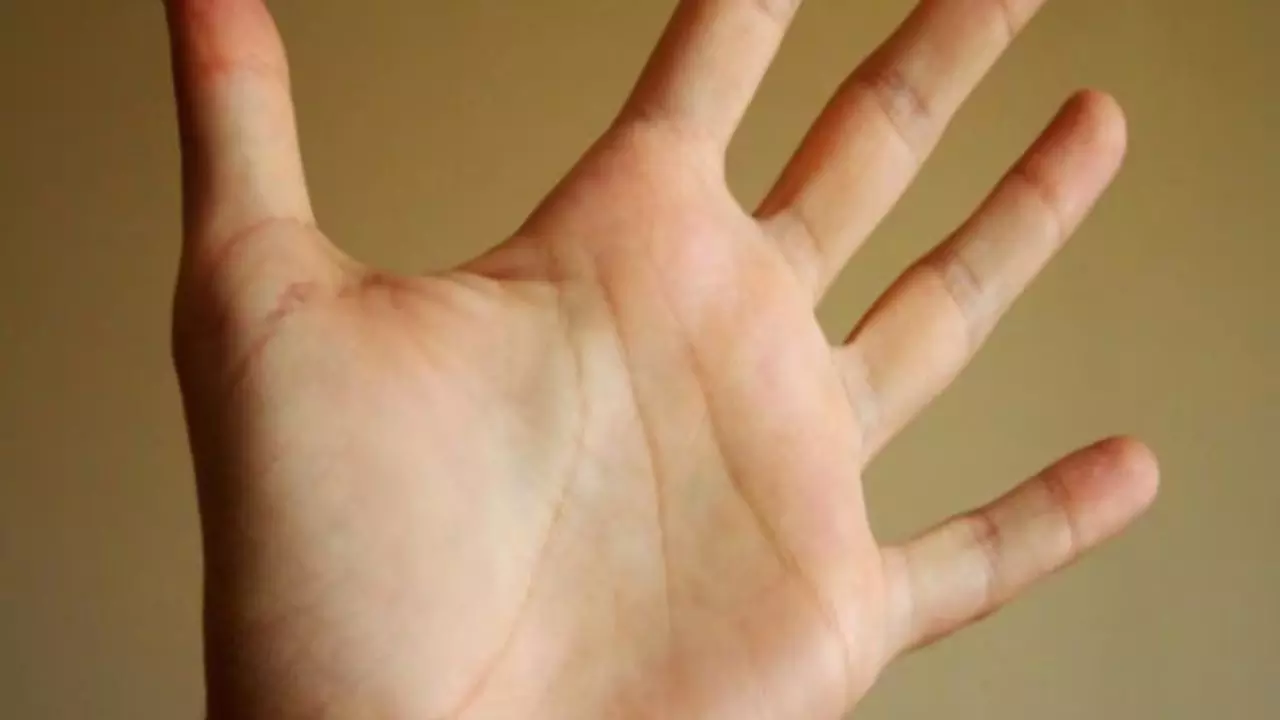 Palmistry Prediction: हथेली के ये 5 निशान आपको बना सकते हैं धनवान, जानिए कैसे