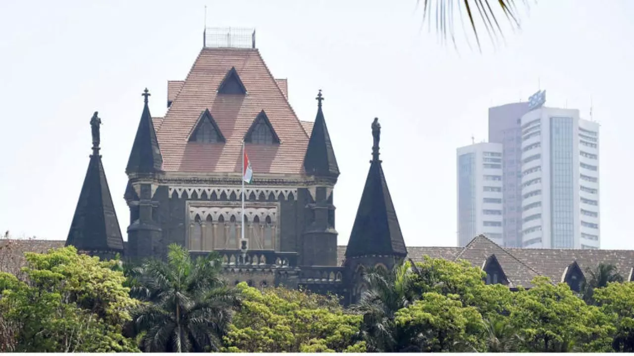 बहू को कालीन पर सुलाना, टीवी देखने को रोकना; क्या बोला बॉम्बे HC?