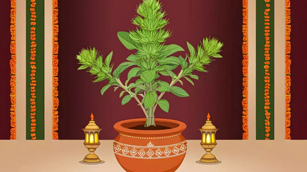 Tulsi Vivah 2024 Upay: इस दिन करें तुलसी माता का कन्या दान, मिलेगा दुगुना शुभ फल और समृद्धि का वरदान!