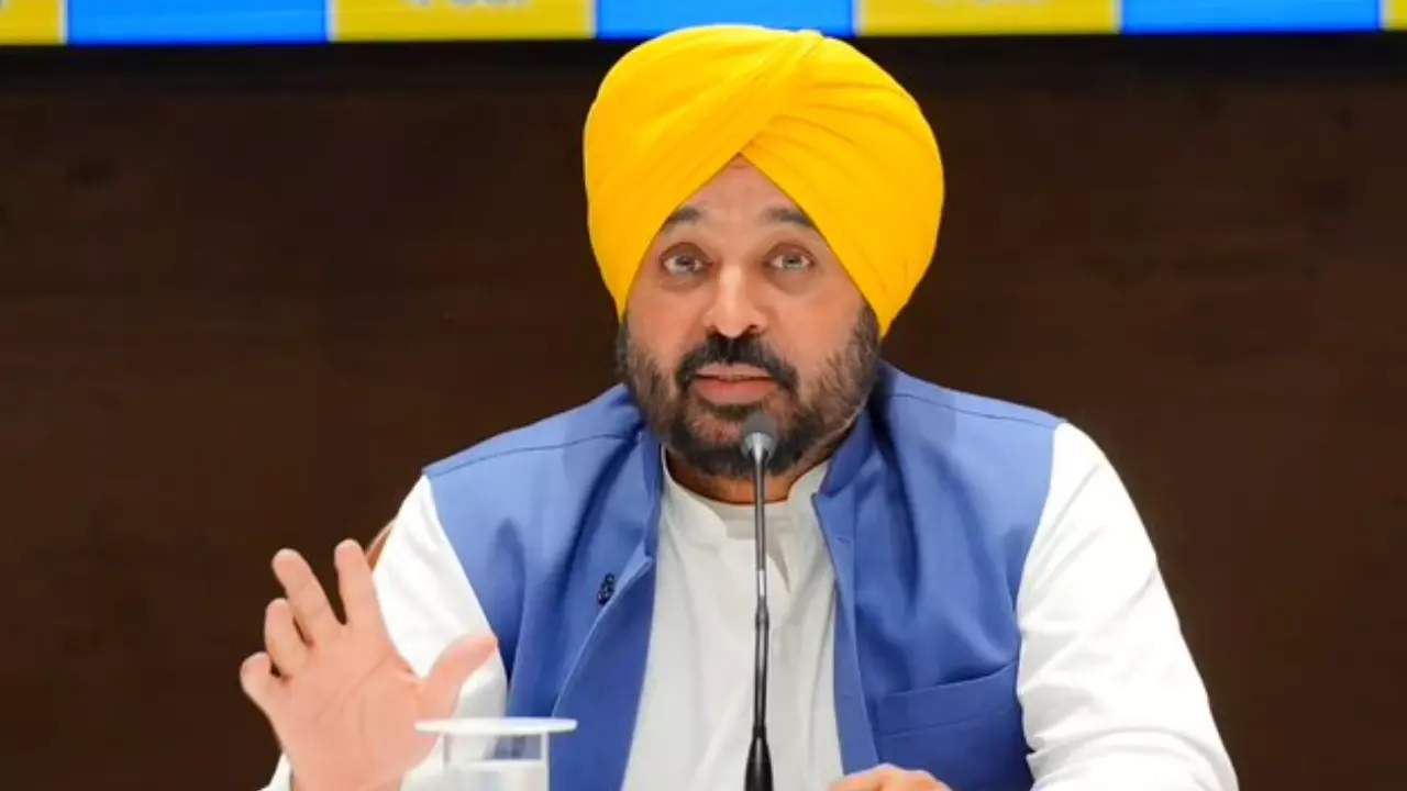 पराली जलाने के बढ़ते मामलों पर रोक का प्रयास, CM मान ने बनाया बायोमास पावर प्रोजेक्ट को लेकर प्लान
