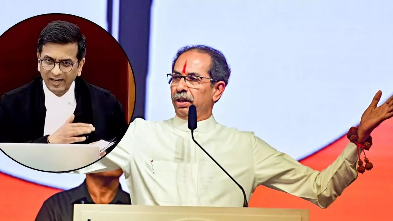 उद्धव ठाकरे ने तोड़ी सारी सीमाएं, शिवसेना विधायक मामले में पूर्व CJI चंद्रचूड़ को सुनाई खरी खोटी