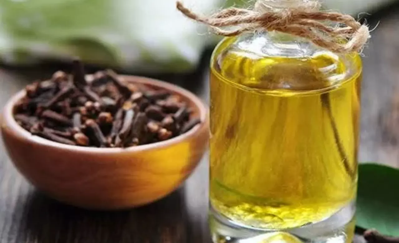 Clove Water Benefits: रोज रात को सोने से पहले पिंए ये ड्रिंक, ब्लड शुगर रहेगा नियंत्रित